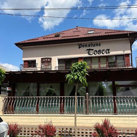 Pensiune Turistica Tosca Bacău Exterior photo